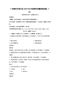 广西柳州市城中区2025年九年级教学质量抽测（1月）月考化学试卷（解析版）