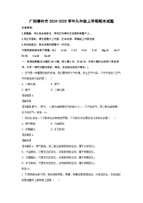 广西柳州市2024-2025学年九年级上学期期末化学试卷（解析版）