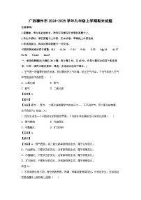 广西柳州市2024-2025学年九年级上学期期末化学试卷（解析版）