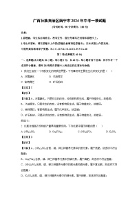 广西壮族自治区南宁市2024年中考一模化学试卷（解析版）