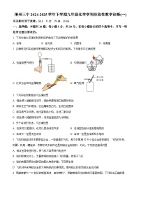 福建省福建省漳州市第三中学2024-2025学年九年级下学期3月月考化学试题（原卷版+解析版）