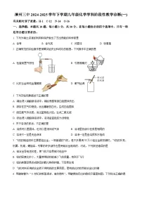 福建省福建省漳州市第三中学2024-2025学年九年级下学期3月月考化学试题（原卷版+解析版）
