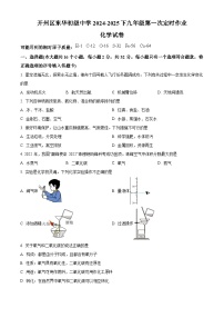 重庆市开州区东华初级中学2024-2025学年九年级下学期开学考试化学试题（原卷版+解析版）