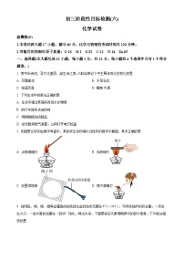 安徽省六安市皋城中学2024-2025学年九年级下学期2月份开学考试化学试题（原卷版+解析版）