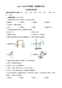 河南省商丘市夏邑县2024-2025学年九年级上学期1月期末化学试题（原卷版+解析版）
