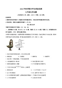湖北省宜昌市宜都市2024-2025学年九年级上学期1月期末化学试题（原卷版+解析版）