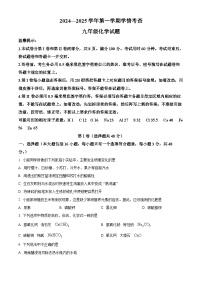 山东省滨州市邹平市2024-2025学年九年级上学期期末化学试题（原卷版+解析版）
