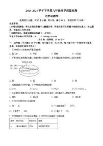云南省楚雄彝族自治州楚雄市2024-2025学年九年级下学期开学考试化学试题（原卷版+解析版）