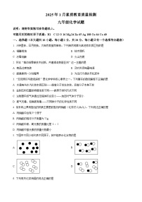 山东省菏泽市曹县2024-2025学年九年级上学期期末化学试题（原卷版+解析版）