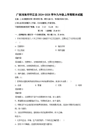 广西河池市环江县2024-2025学年九年级上学期期末化学试卷（解析版）