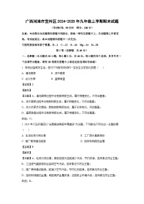 广西河池市宜州区2024-2025年九年级上学期期末化学试卷（解析版）