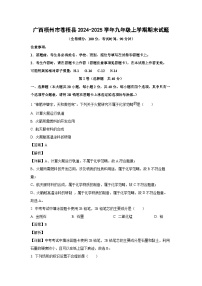 广西梧州市苍梧县2024-2025学年九年级上学期期末化学试卷（解析版）