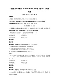 广西来宾市象州县2024-2025学年九年级上学期1月期末化学试卷（解析版）