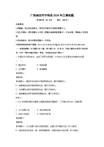 广西崇左市宁明县2024年中考三模化学试卷（解析版）
