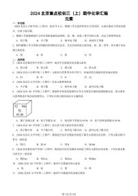 2024北京重点校初三（上）期中真题化学汇编：元素