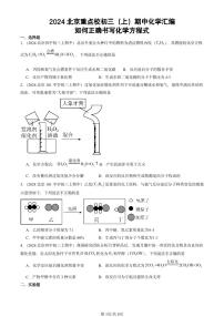 2024北京重点校初三（上）期中真题化学汇编：如何正确书写化学方程式
