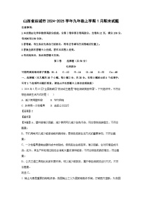 2024~2025学年山西省运城市九年级上学期1月期末化学试卷（解析版）