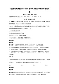 2024~2025学年山西省忻州某校九年级上学期期中考试化学试卷（解析版）