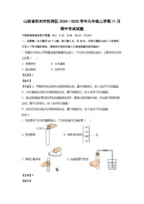 2024~2025学年山西省忻州市忻府区九年级上学期11月期中考试化学试卷（解析版）