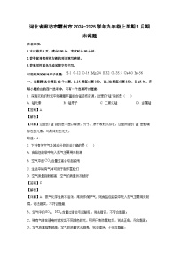 2024~2025学年河北省廊坊市霸州市九年级上学期1月期末化学试卷（解析版）