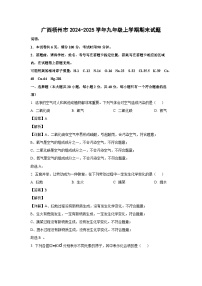 2024~2025学年广西梧州市九年级上学期期末化学试卷（解析版）