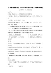 2024~2025学年广西柳州市柳南区九年级上学期期末化学试卷（解析版）