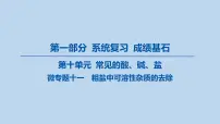 22-第十单元 微专题十一 粗盐中可溶性杂质的去除课件-2025年中考化学一轮复习