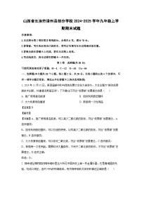 2024-2025学年山西省长治市泽州县部分学校九年级上学期期末化学试卷（解析版）
