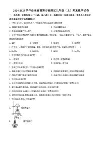 山东省淄博市临淄区2024-2025学年九年级上学期1月期末化学试题（原卷版+解析版）
