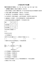 江苏省徐州市沛县五中集团联盟2024-2025学年九年级下学期3月联考化学试题（原卷版+解析版）