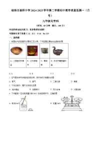 海南省琼海市嘉积中学2024-2025学年下学期九年级2月月考化学试题（原卷版+解析版）