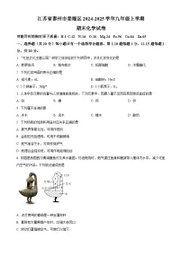 江苏省泰州市姜堰区2024-2025学年九年级上学期期末化学试题（原卷版+解析版）