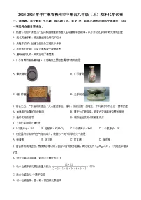 广东省梅州市丰顺县2024-2025学年九年级上学期1月期末化学试题（原卷版+解析版）