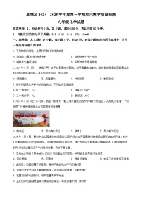 广东省惠州市惠城区2024-2025学年九年级上学期期末化学试题（原卷版+解析版）