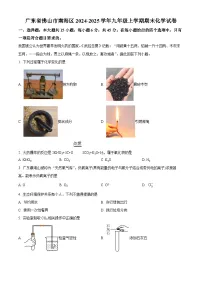 广东省佛山市南海区2024-2025学年九年级上学期期末化学试题（原卷版+解析版）