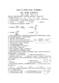湖南省长沙市雅礼教育集团2024-2025学年九年级下学期3月联考化学试题