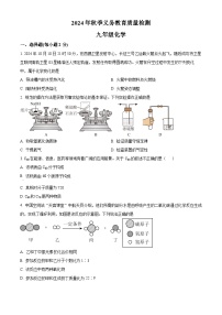 四川省达州市通川区2024-2025学年九年级上学期期末化学试题（原卷版+解析版）