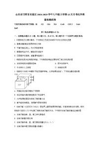 山东省日照市东港区2024-2025学年九年级上册12月月考化学质量检测试卷（附答案）