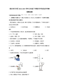 重庆市开州区2024-2025学年九年级下册开学考试化学学情检测试题（附答案）