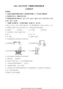 2024～2025学年河南省平顶山市叶县九年级上1月期末化学试卷(含答案)