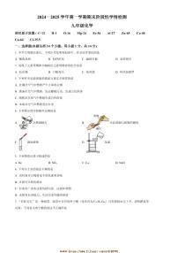2024～2025学年河南省周口市郸城县九年级上期末化学试卷(含答案)