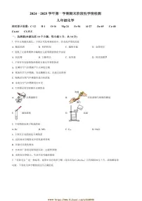 2024～2025学年河南省周口市郸城县九年级上期末化学试卷(含答案)