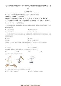 2024～2025学年江西省九江市外国语学校九年级上(五)综合测试(期末)化学试卷(含答案)