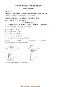 2024～2025学年山东省泰安市宁阳县九年级上期末化学试卷(含答案)