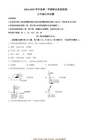 2024～2025学年山东省泰安市宁阳县九年级上期末化学试卷(含答案)