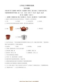 2024～2025学年山东省泰安市新泰市九年级上1月期末化学试卷(含答案)