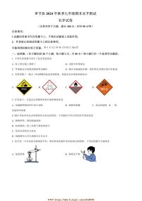 2024～2025学年重庆市奉节县九年级上期末化学试卷(含答案)