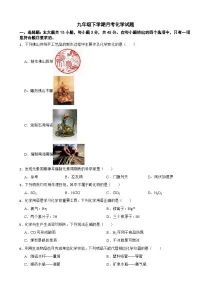 广东省佛山市2025年九年级下学期月考化学试题含答案