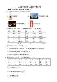 广东省惠州市2025年九年级下学期第一次月考化学模拟试卷含答案
