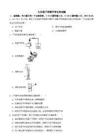 湖南省邵阳市2025年九年级下学期月考化学试题含答案